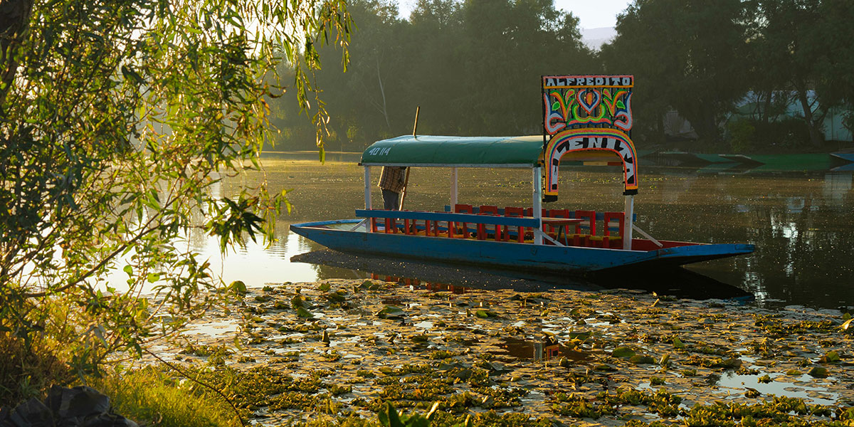 Guía definitiva para visitar Xochimilco sin caer en lo turístico